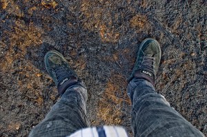 2580592728_351134f930